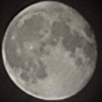 @magnusfranklin.bsky.social (@magnusfranklin) 's Twitter Profile