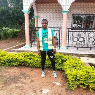 MartinOmgb74289's profile picture. 