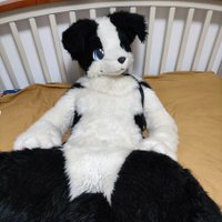 龙行/犬食 (@ej_furgon) 's Twitter Profile Photo