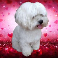 miuras2023 (@miuras2023) 's Twitter Profile Photo miuras2023 (@miuras2023) 's Twitter Profile Photo