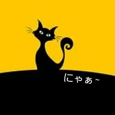 キンさんのプロフィール画像