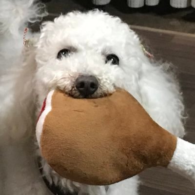 ryo0515elf1111's profile picture. 