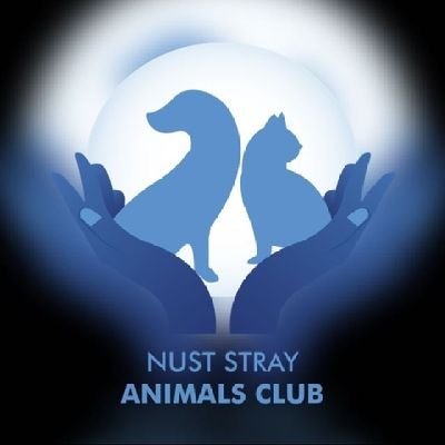 We support the animals of NUST!
🐶🐱🐦🐢🦋
Providing food & medical care 💫
Donation Based and Volunteer Run ✨