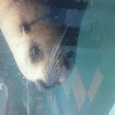 カトリーヌ 最近の実写化は適当に原作つまんで人気ある俳優を当て込んでるだけ パラキスなんてひどい もんらしい ハリウッドでないだけましかな ドラゴンボールの二の舞はキツい