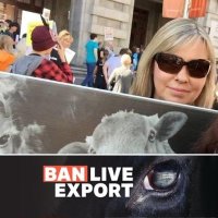 Tanya U(@Tanya4Animals) 's Twitter Profile Photo