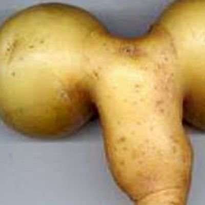 QBVQ2GtQfB0vCpD's profile picture. 筋トレ. 音楽好きアラフィフ既。