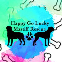 Happy Go Lucky Mastiff Rescue(@HGLMastifRescue) 's Twitter Profileg