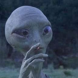 daledondali0's profile picture. 