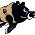 Colquitt Co Packers Tennis🐗🎾 (@packer_tennis) Twitter profile photo Colquitt Co Packers Tennis🐗🎾 (@packer_tennis) Twitter profile photo