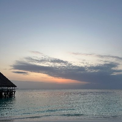 rolla_r's profile picture. Doctor | Artist | Palestinian