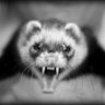PhilipQuarlesAH's profile picture. 