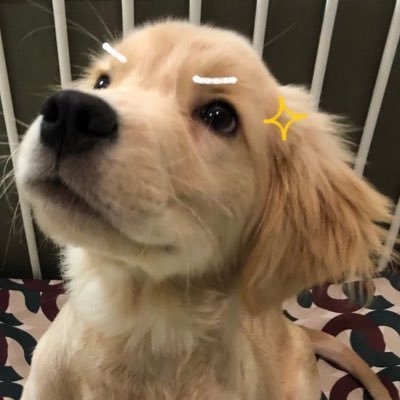 ā±ā ź° jeanette ź± ĖĖĖ Ź luna É ĢĖĖ
