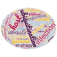 Dikic lab (@dikiclab) 's Twitter Profile