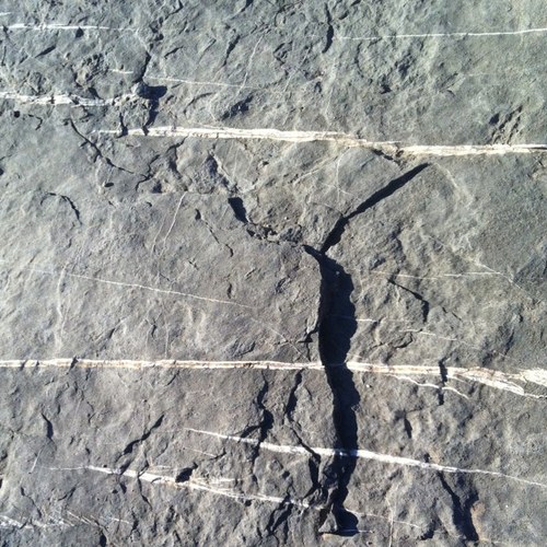 tterrabeoj's profile picture. 