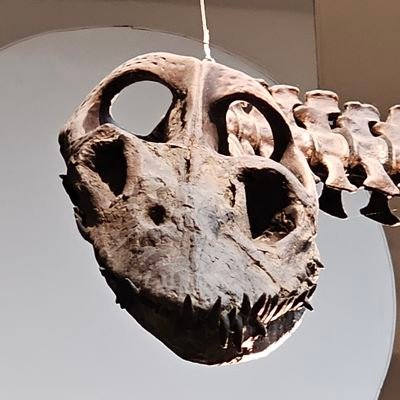 LackLebben's profile picture. 