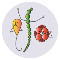 Listen to Your Microbes (@lauragowers1) 's Twitter Profile Photo Listen to Your Microbes (@lauragowers1) 's Twitter Profile Photo
