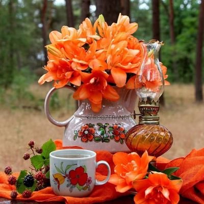ازاد ودرپی مرام انسانیت عاشق طبیعت وایران
زن.زندگی.آزادی
فالو»بک فوری(لیمیتم حتما بک میدم وفالو میکنم)هرکی بک نداد انفالو وبلاک هرکی لینک اینستابده بلاک میشه