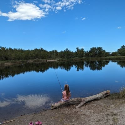 nburkem's profile picture. 