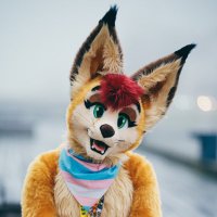 Feͨnͣnͬeͣc (@carafennec) 's Twitter Profile Photo Feͨnͣnͬeͣc (@carafennec) 's Twitter Profile Photo