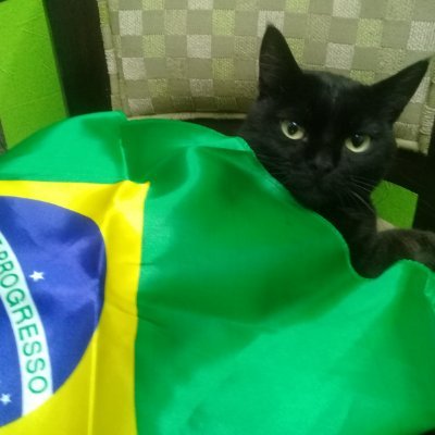 MarionHaetinger's profile picture. DEUS, Familia e Patria!!!  Blumenau/SC