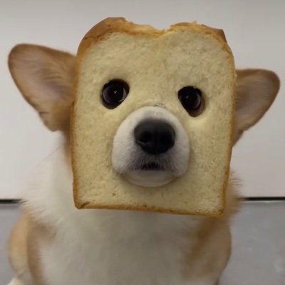 Mattshow1002's profile picture. 