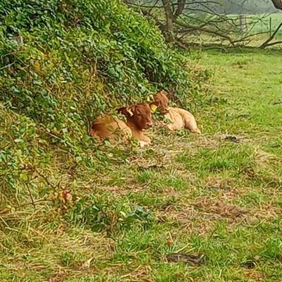 Landwirt, für ein Miteinander der Menschen und gegen Rechtsradikalismus