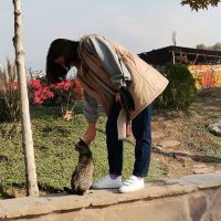 دختر آبی✨ (@_cerulian) 's Twitter Profile