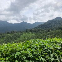 جُمَانَة (@bintfaisal7) Twitter profile photo