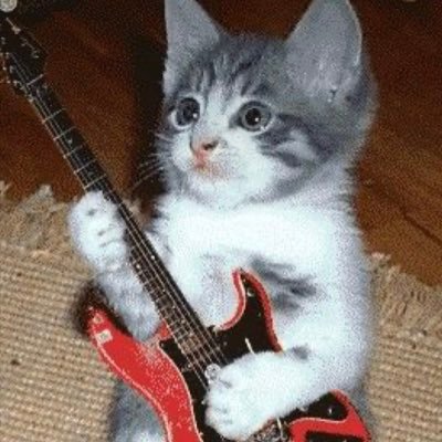 rockstarkitty0's profile picture. 빈이의 락스타일기 🙄🎸