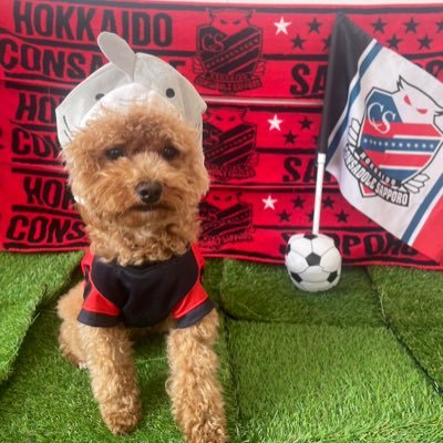 ぽんきち（miki） (@koyukisan1221) / Posts / X