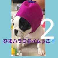 ひまハラミ🧘🏻‍♂️💎♡→→→(@HimaNanoHaako) 's Twitter Profile Photo