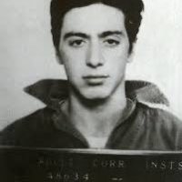 tony soprano democrat (@l0l09yyz) 's Twitter Profile