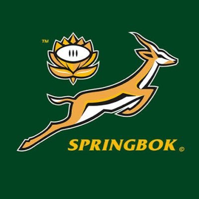 Big Springbok supporter ☯️A•L•P•H•A 👑 •Artist and Brand manager