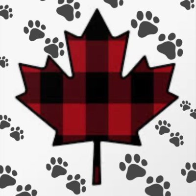 CanadaDawg2023 Profile Picture