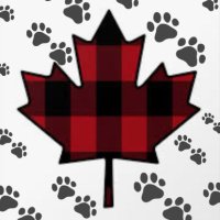 MMTLPCANADA 🇨🇦🇨🇦🇨🇦 (@mmtlpcanada) 's Twitter Profile