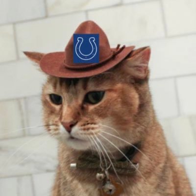 Voted the 108,454th best twitters by https://t.co/QVNUxFwk1P • turn notis on for a follow back• not affiliated with waloo • #ForTheShoe ! • pacer supersoldier