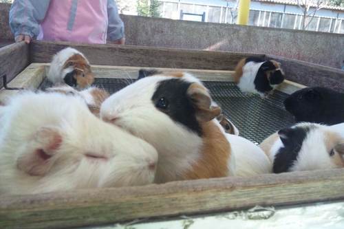 sshigess's profile picture. 塾の先生やってます。