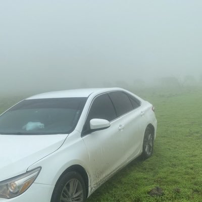 sydlkby30621349's profile picture. 