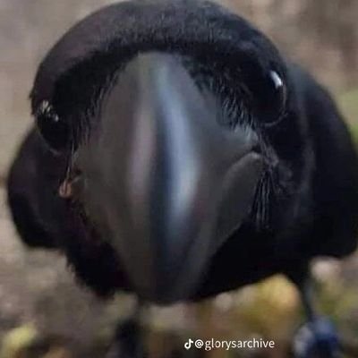 know_mahmoud's profile picture. 