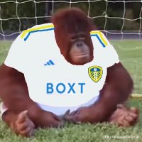 Hazza (@hazzag_lufc) 's Twitter Profile