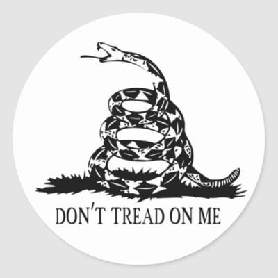 Without freedom of thought, there can be no such thing as wisdom; and no such thing as public liberty, without freedom of speech.

               - Ben Franklin