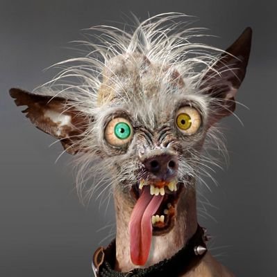 MukopeS's profile picture. Thought Provokin