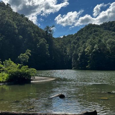 jman_tn's profile picture. 