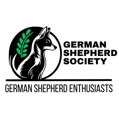 We are a community of passionate #Germanshepherd owners and enthusiasts based in the 🇺🇸 USA. Follow us for all things German Shepherd!💙♥️