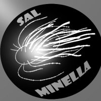 Cooking With Sal Minella(@SalMinellaUtube) 's Twitter Profile Photo