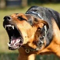 Bitcoin08 (@tiagomarquesro3) 's Twitter Profile