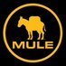 MULE (@getthemule) Twitter profile photo MULE (@getthemule) Twitter profile photo
