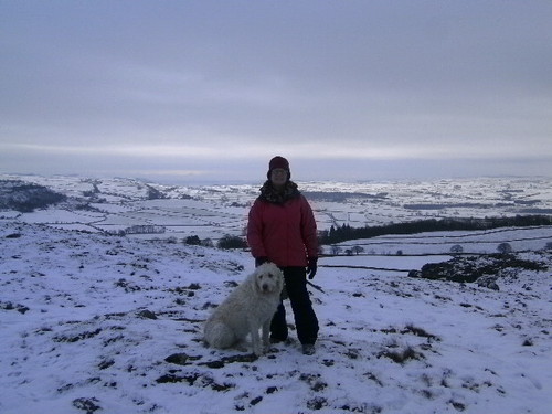 liv ein upton small village made redundant 3 yrs ago form finance secton have 4yr old labradoole dog called charlie and a largetom cat called bruce aged 8 yrs