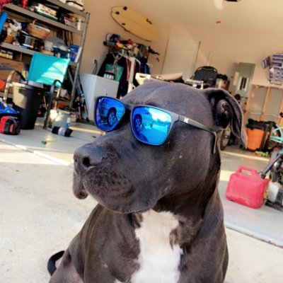 AceDetail251's profile picture. We are a fully licensed and Insured professional company specializing in Auto and Boat Detailing.