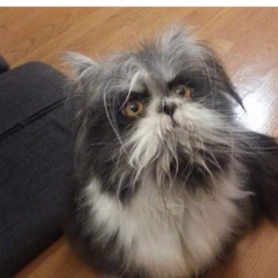 KlistJa32771's profile picture. 